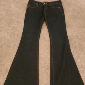 Express Dark Wash Flare Jeans